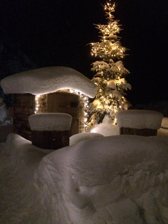 Appartements Feroli Dienten am Hochkönig Eksteriør billede