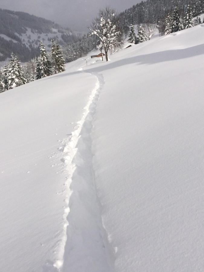 Appartements Feroli Dienten am Hochkönig Eksteriør billede