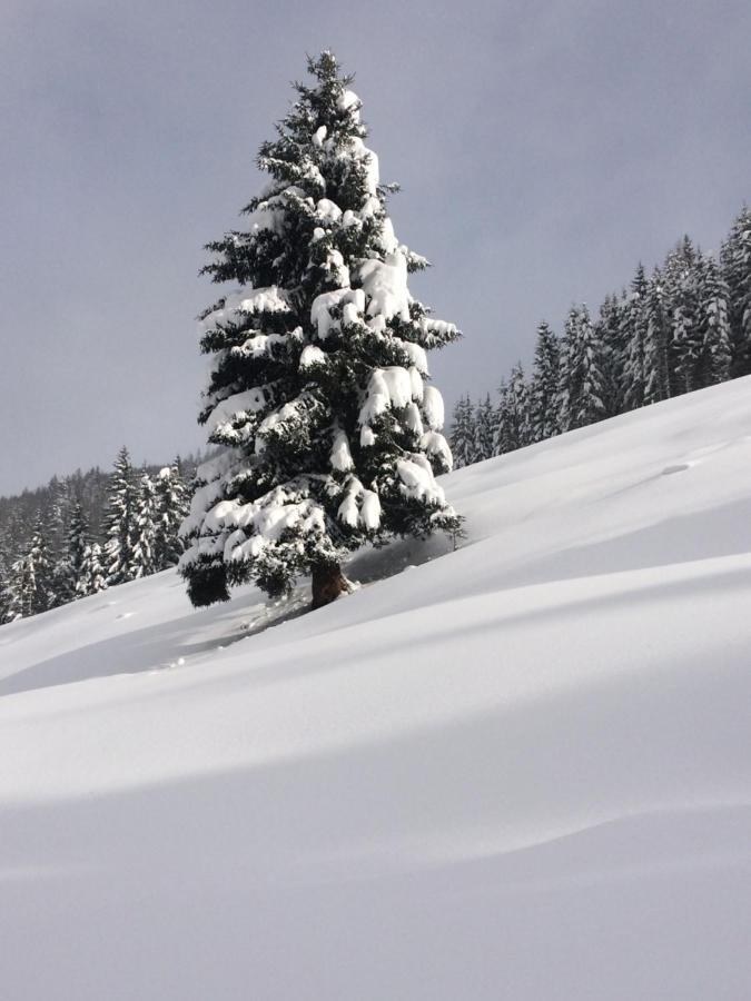 Appartements Feroli Dienten am Hochkönig Eksteriør billede