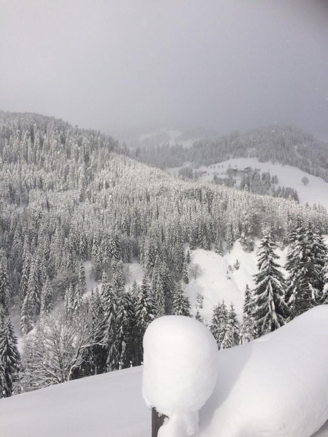 Appartements Feroli Dienten am Hochkönig Eksteriør billede